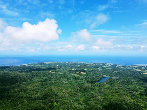 徳之島の豊かな自然環境