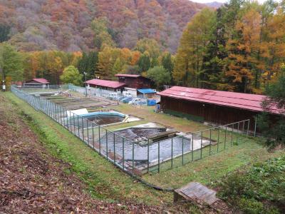 岩魚の養魚場