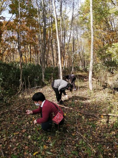 自然に還りつつある旧鉄路の跡地で石を採取