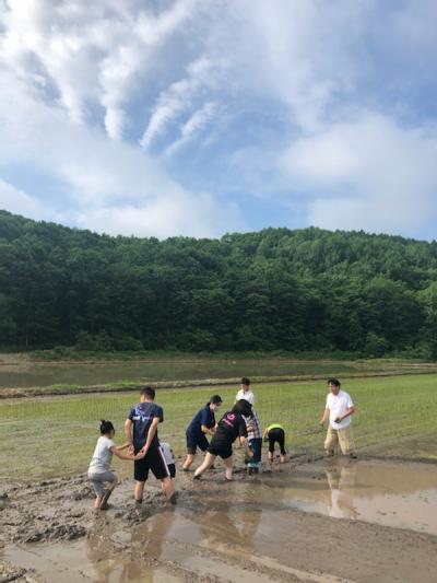 地域の子供たちと田植えをする小松田町長