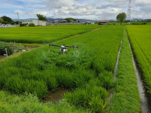 ドローンを活用した農薬散布