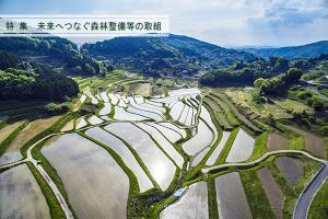 360度すり鉢状に広がる大垪和西の棚田